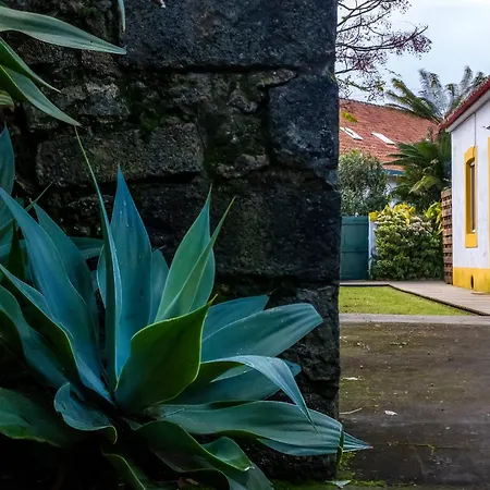 Casa Villa Cottage Ponta Delgada Esterno foto