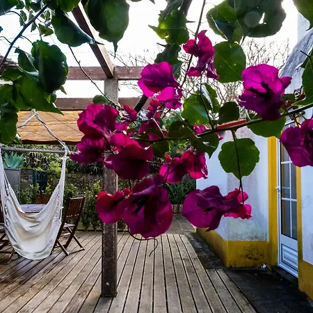 Casa Villa Cottage Ponta Delgada Esterno foto